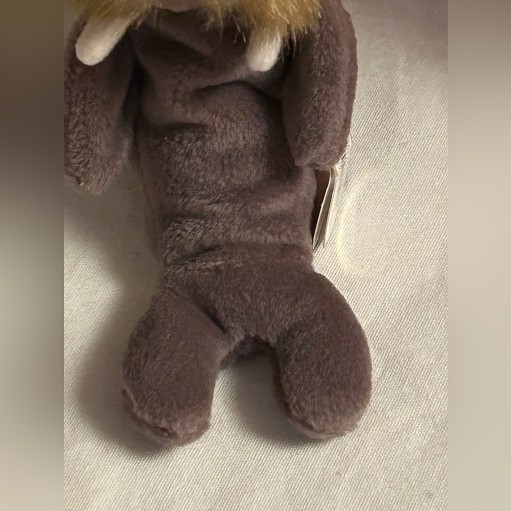 TY Jolly the walrus in beautiful condition with original tag. - Picture 4 of 11